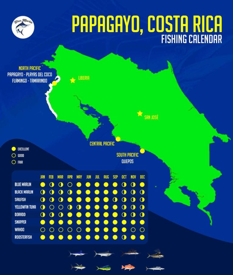 Blue Marlin Sportfishing Papagayo Fishing Chart Costa Rica