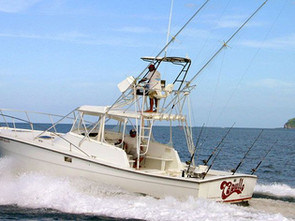 Blue Marlin Sportfishing Costa Rica