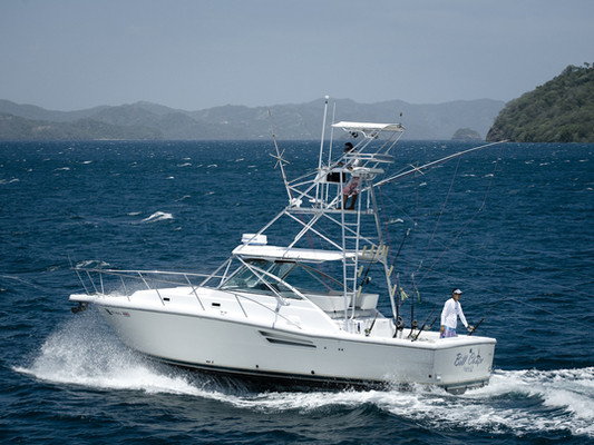 Blue Marlin Sportfishing Costa Rica