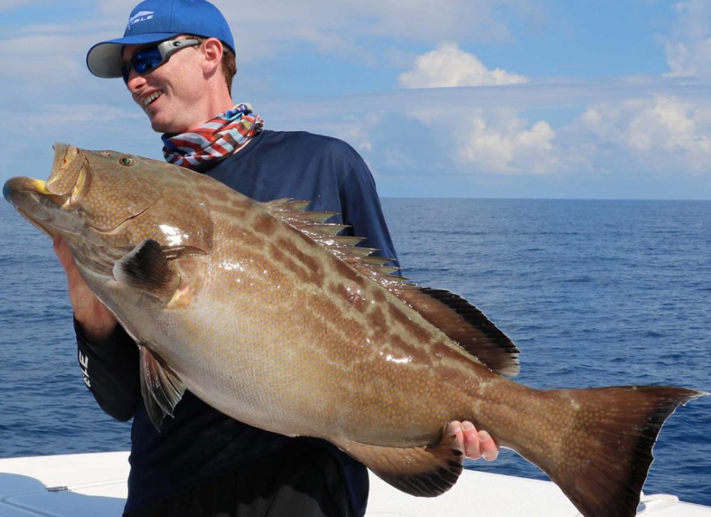 Blue Marlin Sportfishing Costa Rica