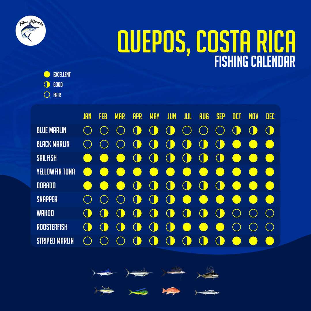 Costa Rica Fishing Calendar Blue Marlin SportFishing