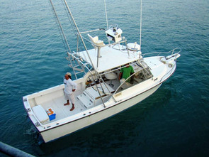 Blue Marlin Sportfishing Costa Rica