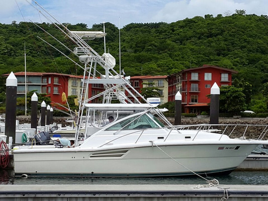 Blue Marlin Sportfishing Costa Rica