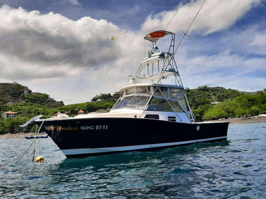 Freedom II 32 Ft Blue Marlin Sportfishing boat