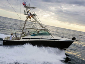 Blue Marlin Sportfishing Costa Rica