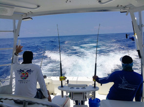 Blue Marlin Sportfishing Costa Rica
