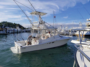 Blue Marlin Sportfishing Costa Rica