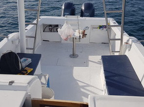 Blue Marlin Sportfishing Costa Rica