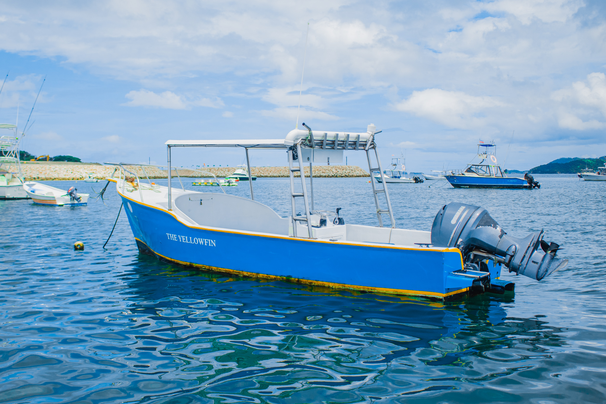 Blue Marlin Sportfishing Costa Rica