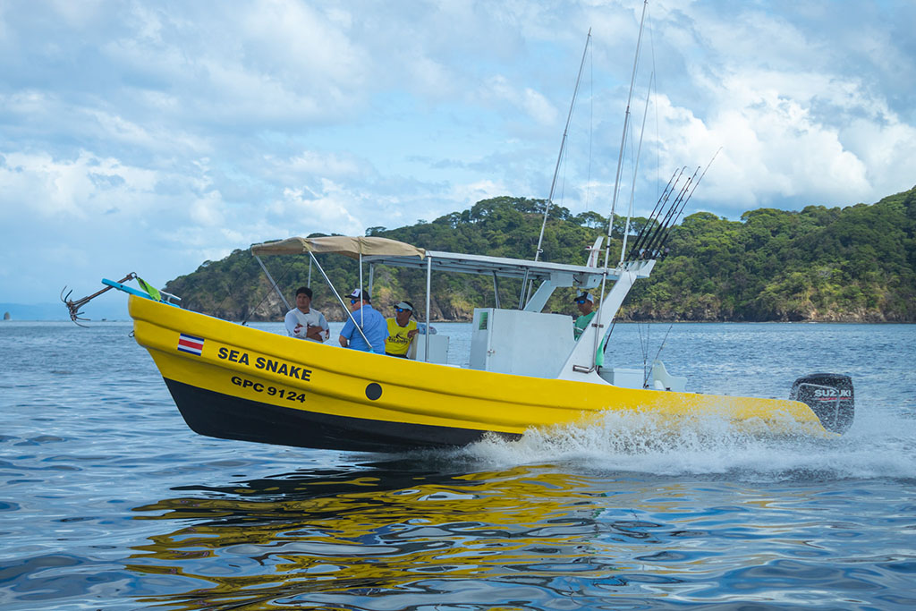 sea-snake-g00